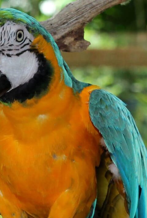 Featured Image