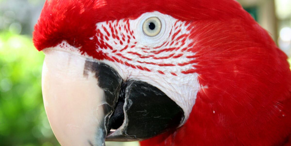Featured Image