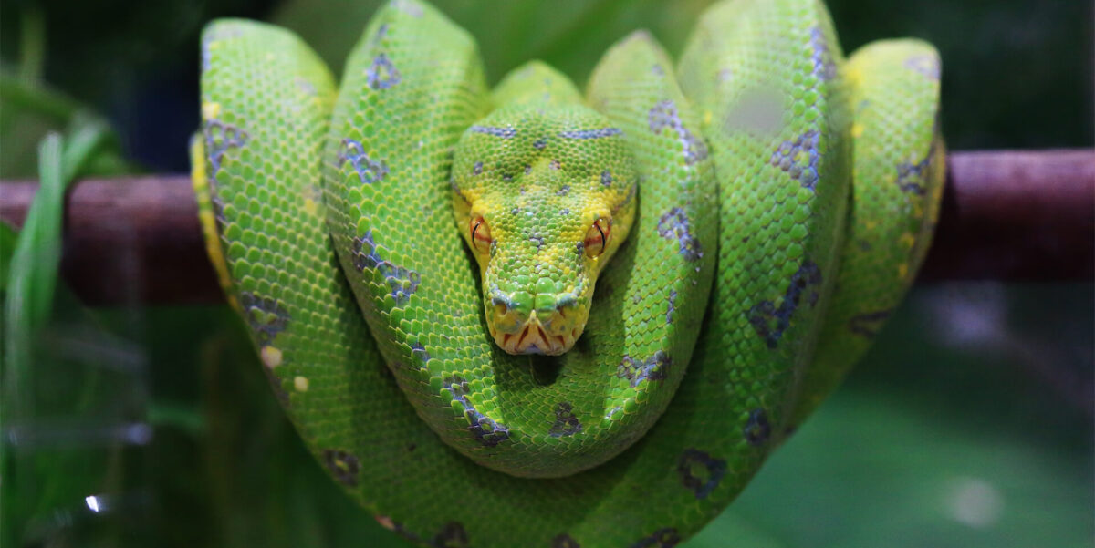 Featured Image
