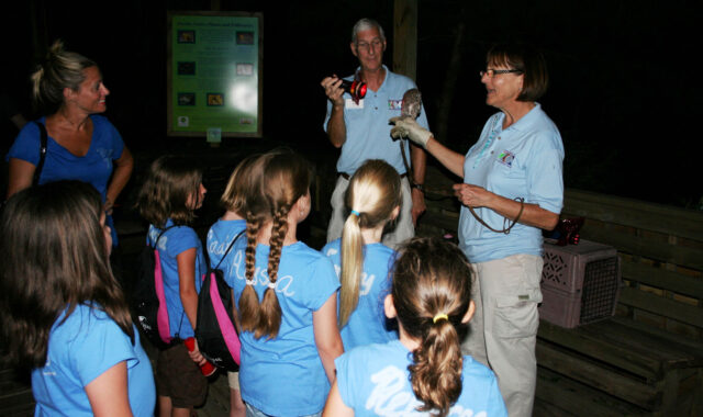 Children view an eastern screech owl by flashlight during Night Hike at the Zoo