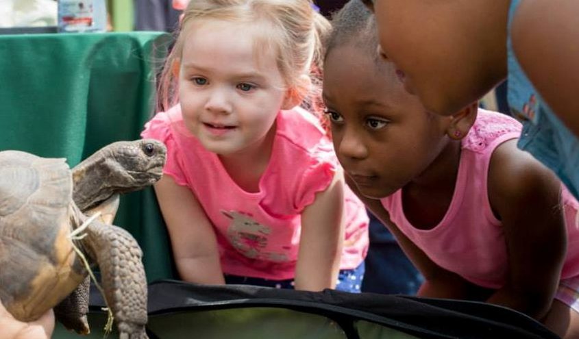 Children look at a gopher tortoise during Storytime at the Zoo