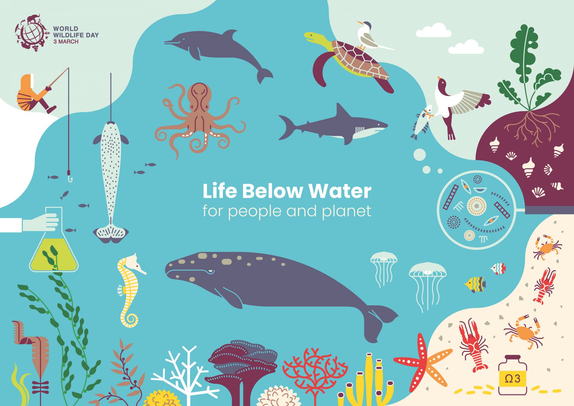 The Importance of Water – Central Florida Zoo & Botanical Gardens The Importance of Water – Central Florida Zoo & Botanical Gardens