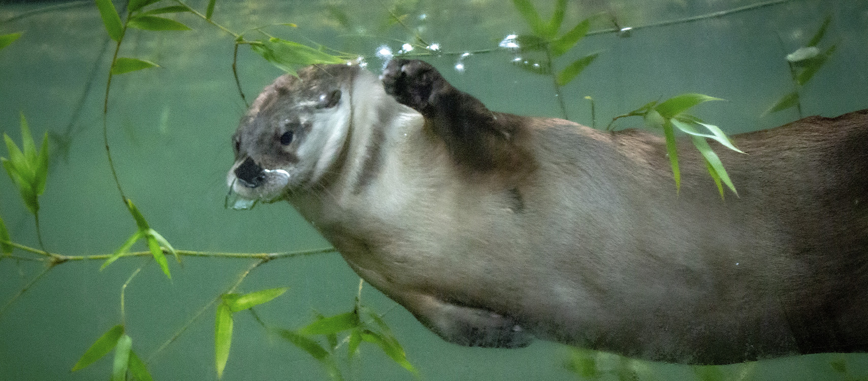 Zoo to You! Outreach - Central Florida Zoo & Botanical Gardens