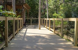 Accessible pathways at the Central Florida Zoo