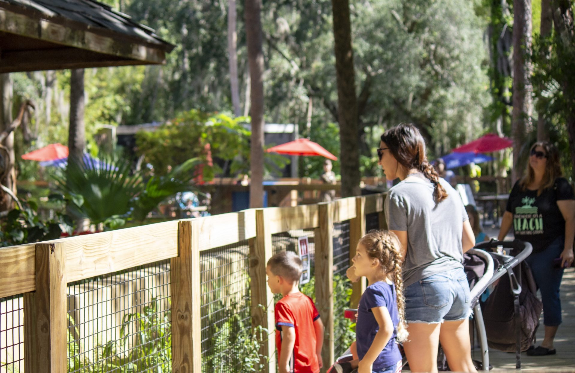 Central Florida Zoo & Botanical Gardens Things to do in Orlando with