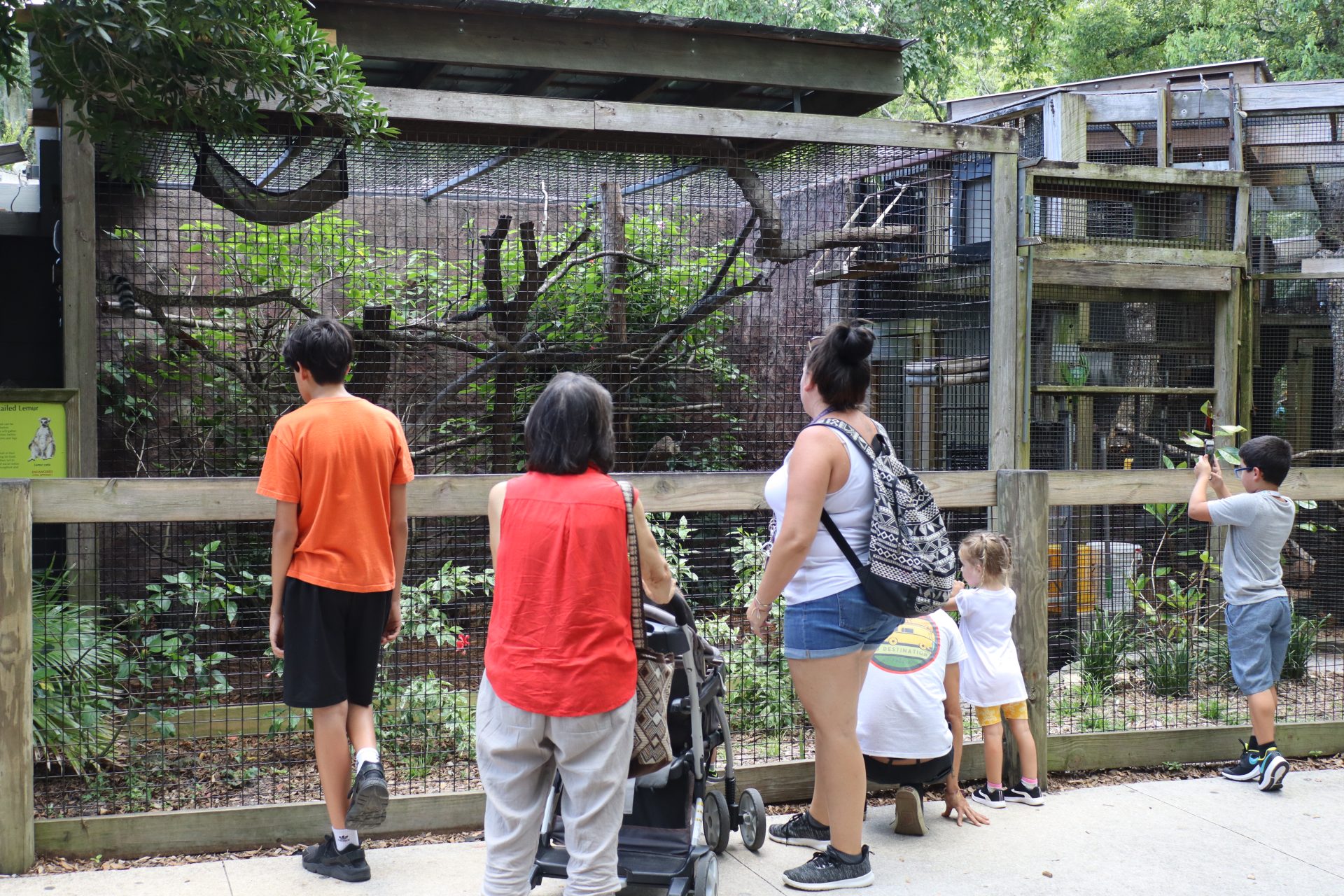 Central Florida Zoo & Botanical Gardens Sunset at the Zoo Central