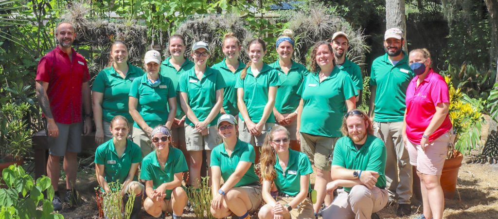 A group of smiling team members