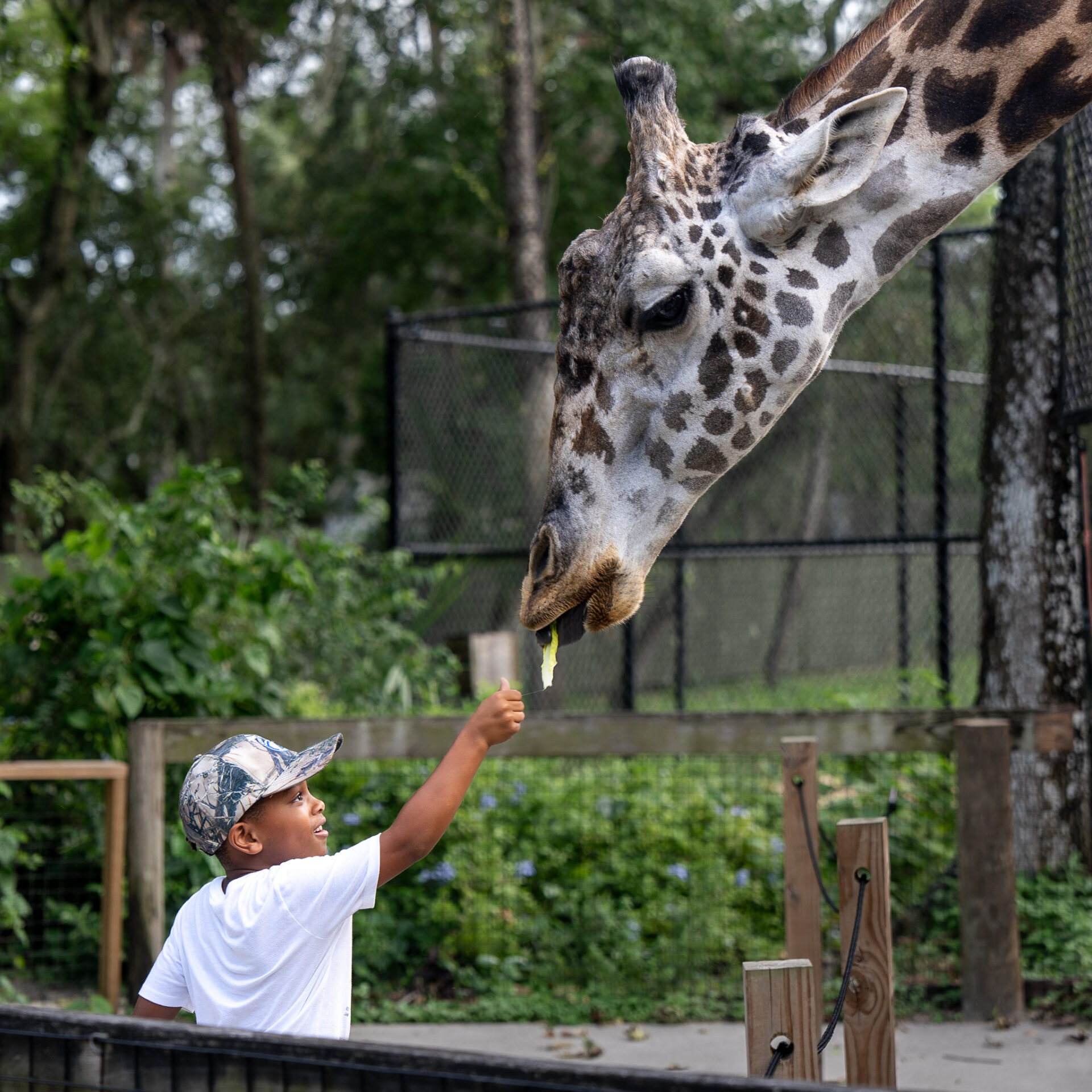 Central Florida Zoo & Botanical Gardens Thanks for your support