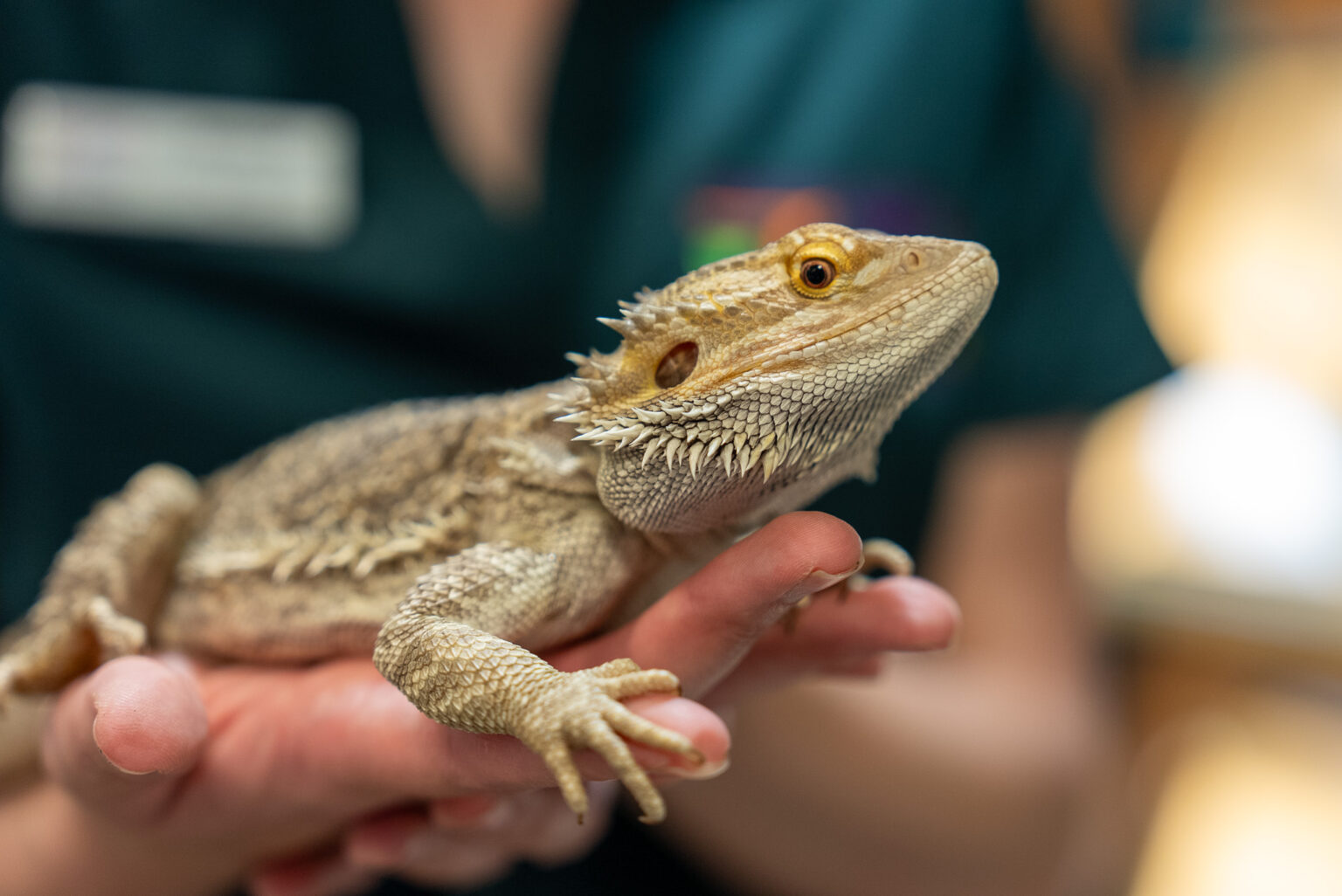 Central Florida Zoo & Botanical Gardens Boy Scout Merit Badge Day