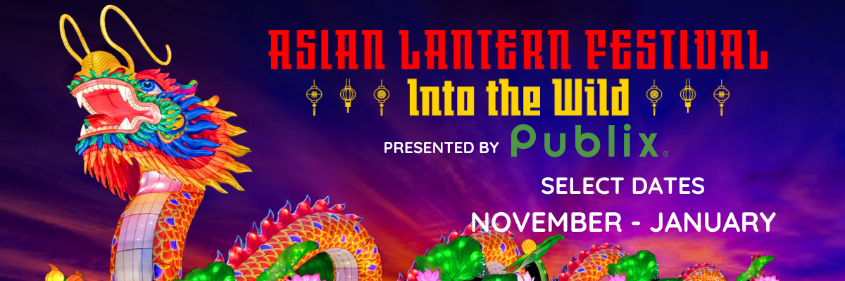 Asian Lantern Festival: Into the Wild by the Central Florida Zoo & Botanical Gardens