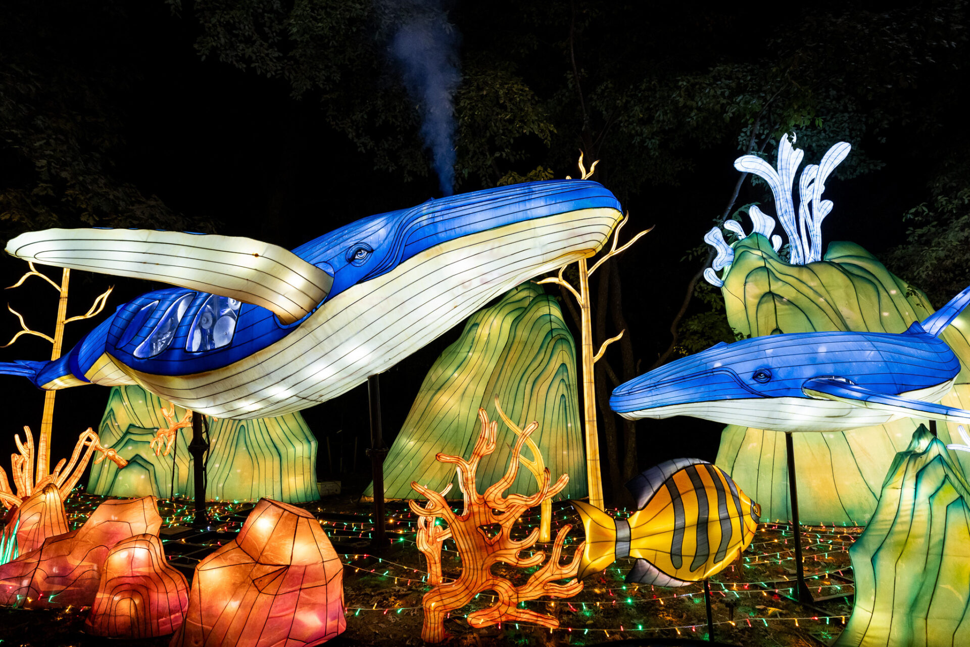 Central Florida Zoo & Botanical Gardens Asian Lantern Festival