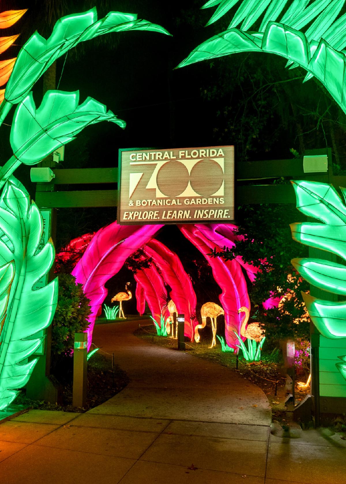 ccp 蓄光祭り05 バラン The Asian Lantern Festival Starts Nov. 21 At Chattanooga Zoo